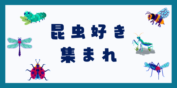カワイイがいっぱい！ワンダーランド
